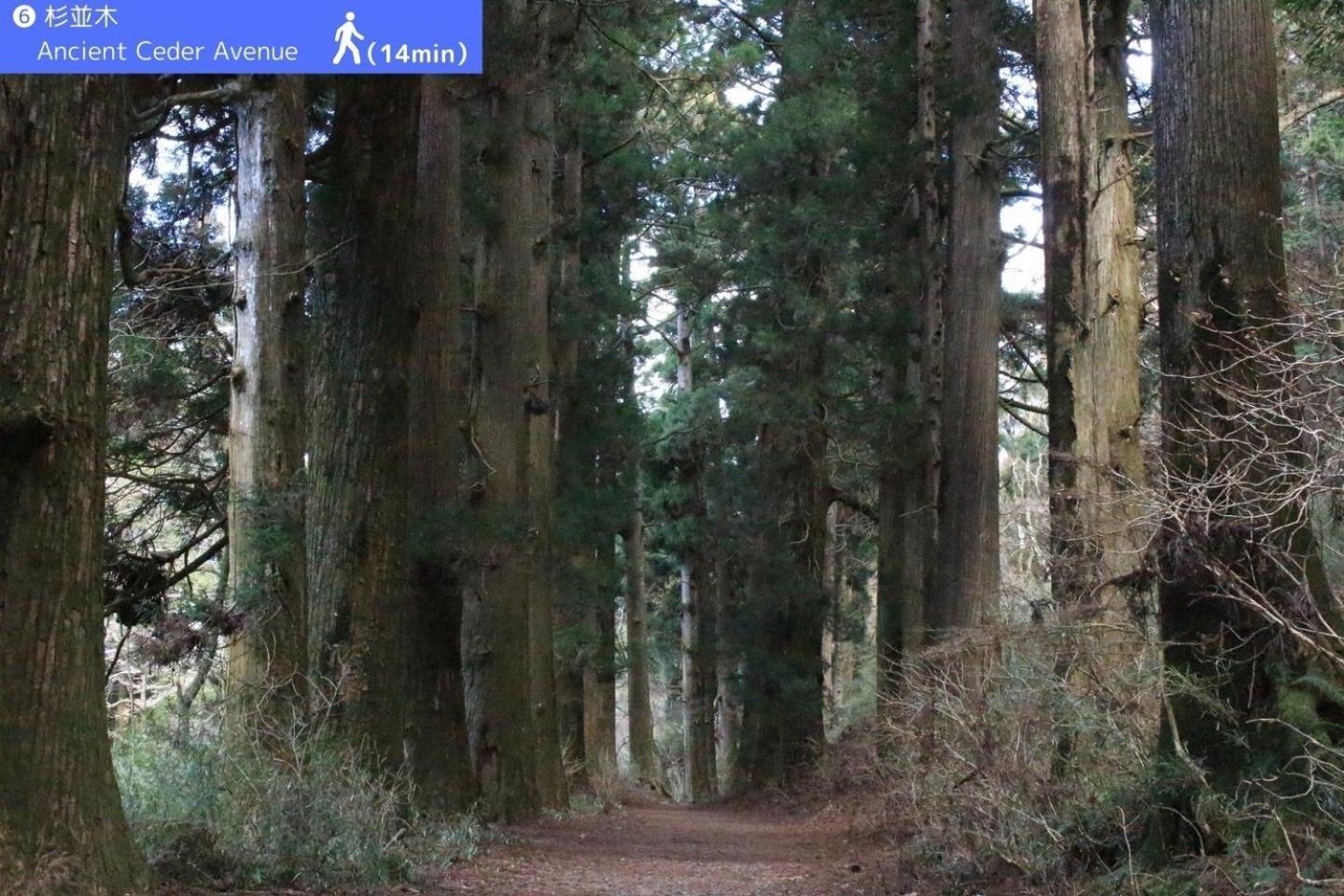 Yoichi Inn Hakone Buitenkant foto